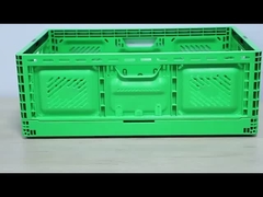 Внешний размер 600*400*220 мм Сельское хозяйство Пластиковые контейнеры для фруктов